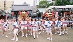 第37回ギャルみこし写真公開